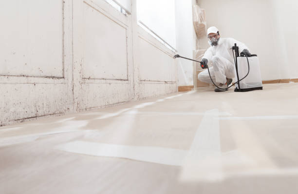 24/7 Emergency Mold Remediation experts in Breezewood, PA